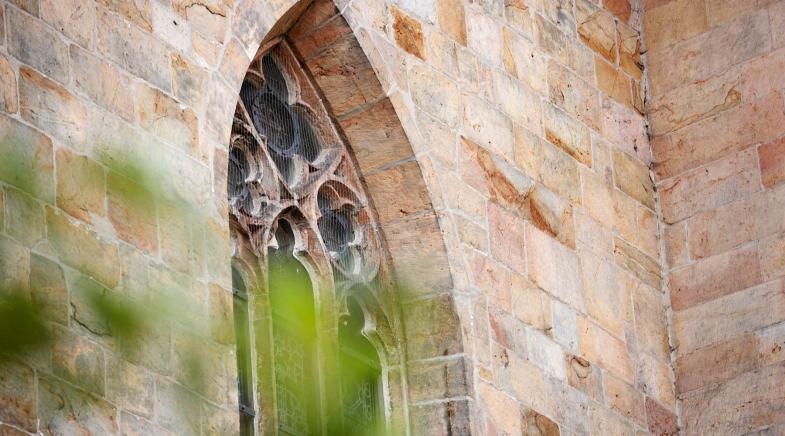 VRK Dienstunfähikeitsabsicherung – Foto eines Kirchenfensters mit grünen Blättern im Vordergrund.