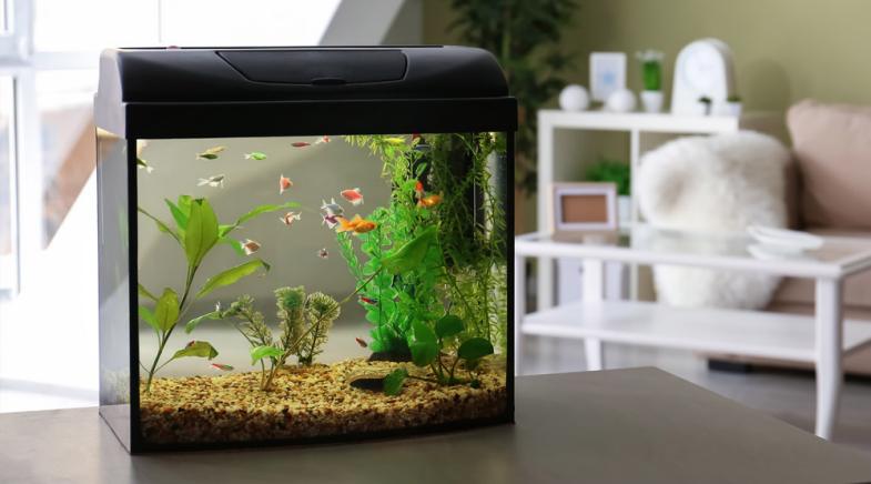 VRK Glasversicherung – Ein Aquarium auf einem Tisch