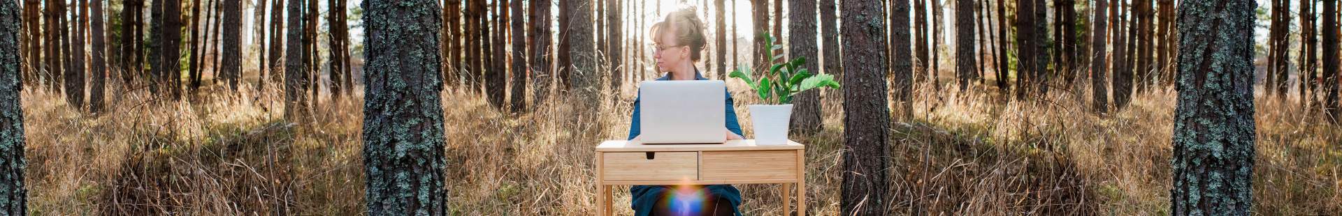 Frau sitzt mit ihrem Laptop in einem Wald