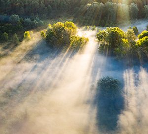 VRK Allgemeiner Versicherungskodex – Ein im Nebel liegendes Tal mit Bäumen im Sonnenschein.