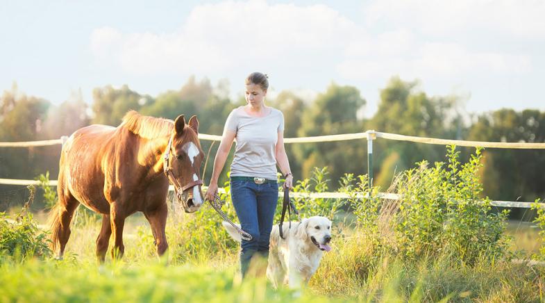 VRK Tierhalter-Haftpflichtversicherung – Zwei junge Frauen unterwegs in der Natur mit ihren Pferden und Hund.