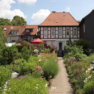 2. Platz GemeindeGrün 2020 – &quot;Godehards Garten&quot; der St. Godehard Hildesheim.