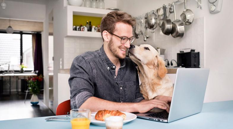 VRK Tierhalter-Haftpflichtversicherung – Ein junger Mann sitzt an einem Tisch am Laptop und sein Hund möchte schmusen.